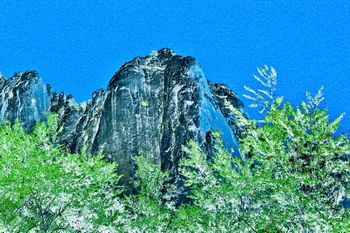 L 019A